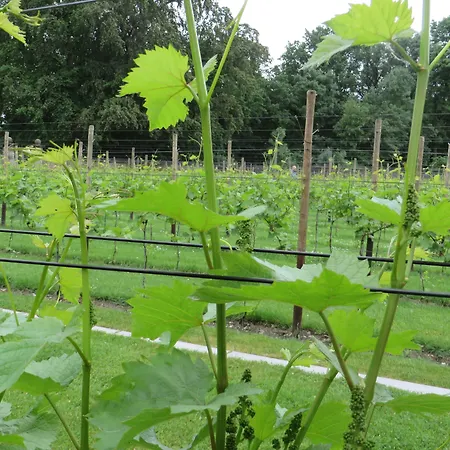 Abdij Rolduc Kerkrade